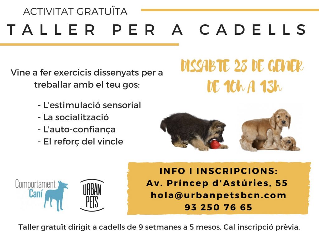 taller-cadells-a-urban-pets-barcelona