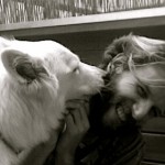 Ensinistrament de gossos, modificació de conducta i millora de relació amb el gos.